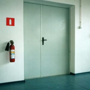 Противопожарная дверь 2100×700 / серия FRM55206