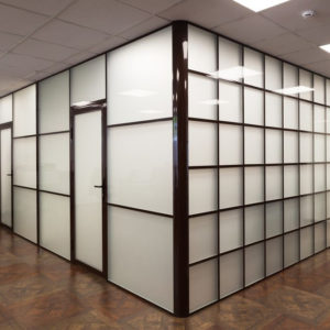 Противопожарная дверь для переговорных комнат / серия FRM33396